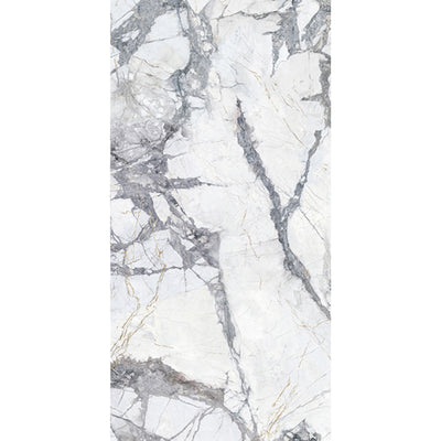 EVERSTONE AURORA INVISIBLE GREY NATURAL 1200X600MM RECTANGLE TILE (PER BOX)