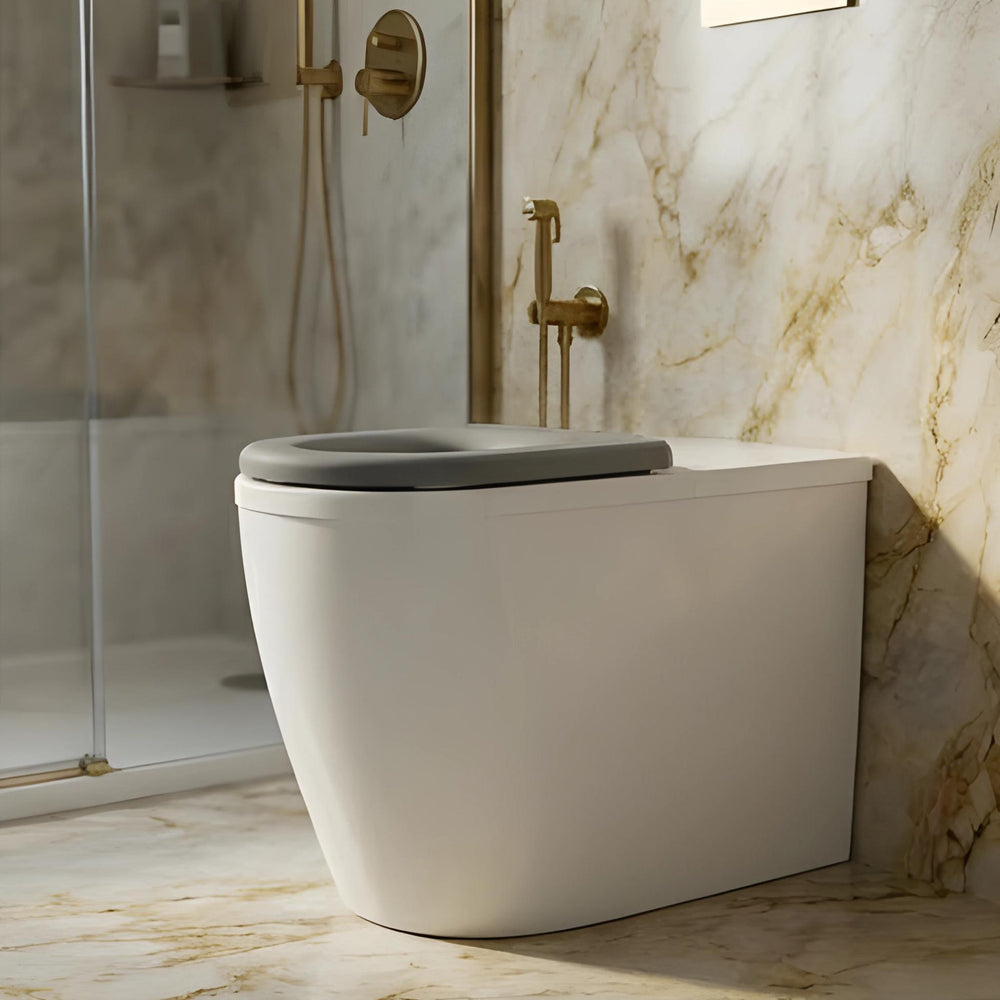 VITO EVIDA CARE WALL FACED TOILET PAN GLOSS WHITE WITH GREY SEAT