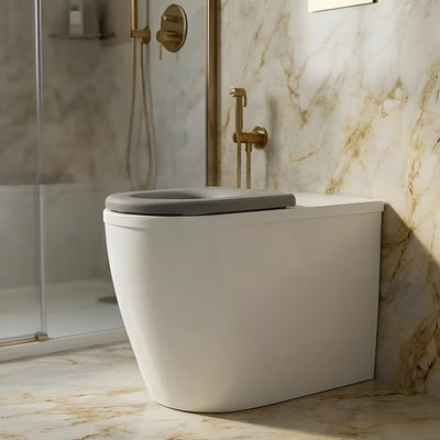 VITO EVIDA CARE WALL FACED TOILET PAN GLOSS WHITE WITH GREY SEAT