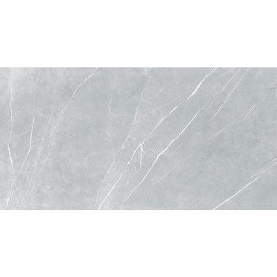 ELITE IMPORTERS BRACCA LIGHT GREY MATTE 300X600MM RECTANGULAR TILE (PER BOX)