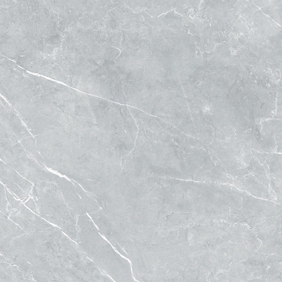 ELITE IMPORTERS BRACCA LIGHT GREY MATTE 300X300MM SQUARE TILE (PER BOX)