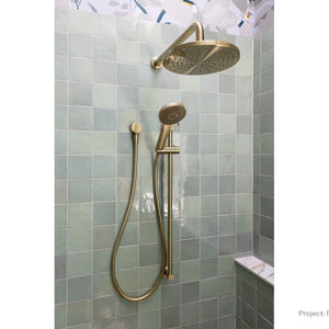 PHOENIX VIVID SLIMLINE RAIL SHOWER MATTE BLACK