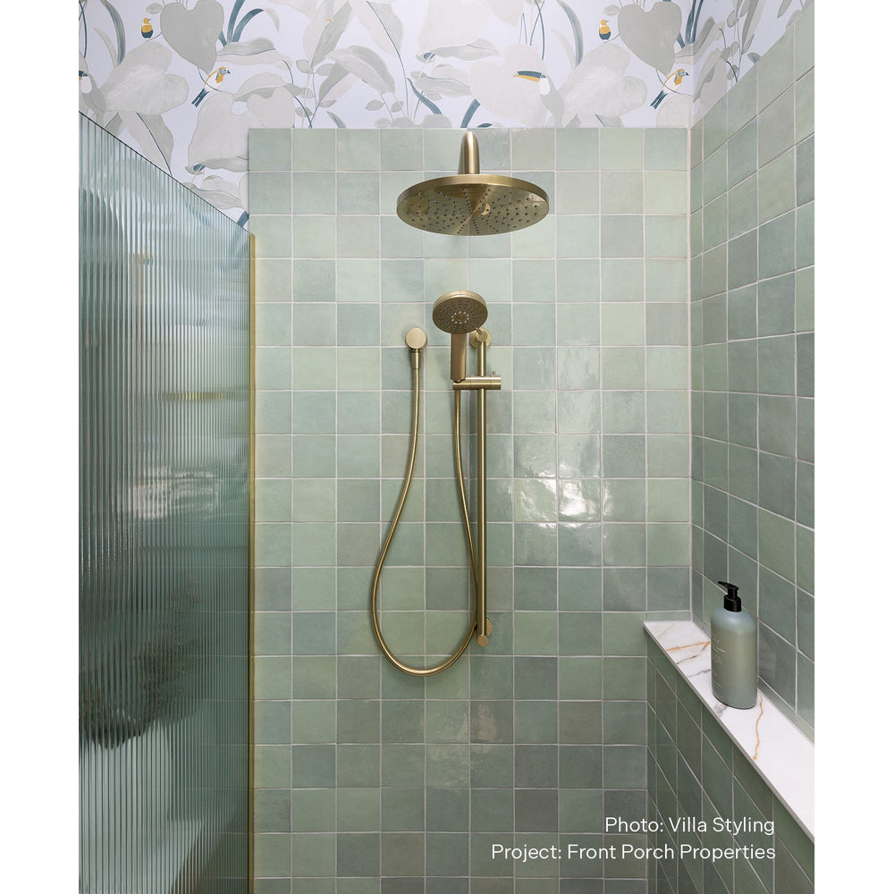 PHOENIX VIVID SLIMLINE RAIL SHOWER BRUSHED NICKEL