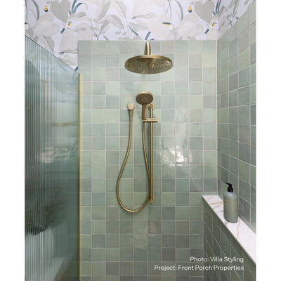 PHOENIX VIVID SLIMLINE RAIL SHOWER BRUSHED NICKEL
