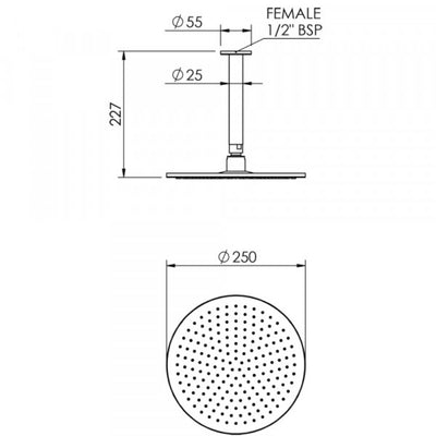 FELTON TATE RAIN HEAD CEILING MOUNTED 250MM MATTE BLACK