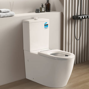 POSEIDON ASTA DISABLE RIMLESS TOILET RIMLESS FLUSH PAN GLOSS WHITE
