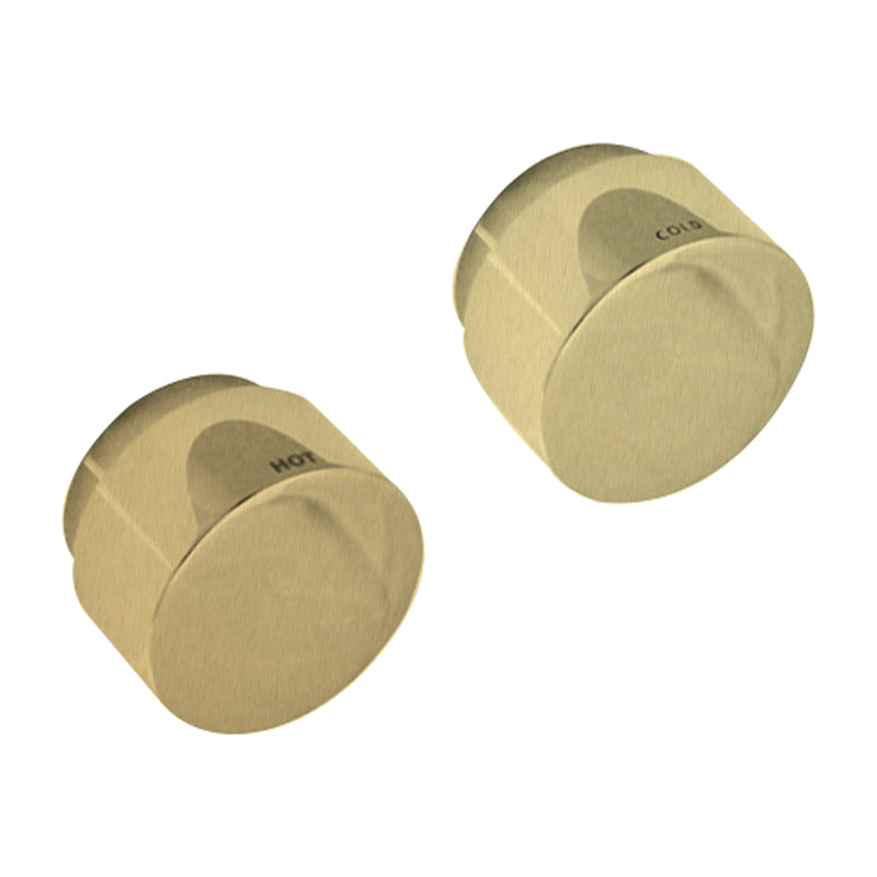 LINKWARE LOUI WALL TOP ASSEMBLY BRUSHED GOLD