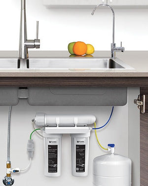 PURETEC HIGH LOOP DESIGNER FAUCET WITH REVERSE OSMOSIS DUAL FILTER