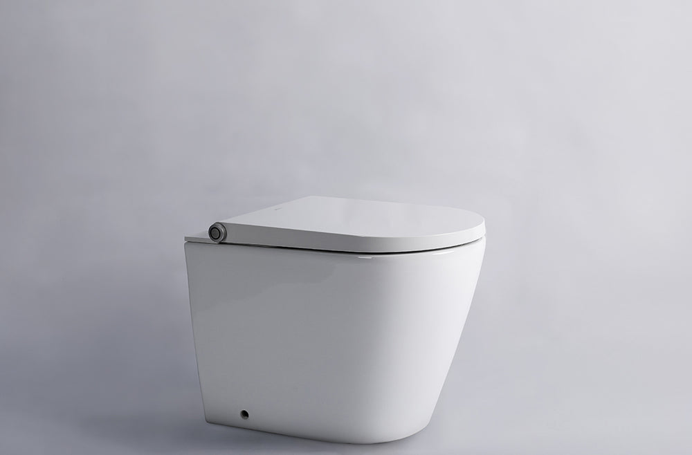 GALLARIA ALTA COMFORT RIMLESS WALL FACE PAN AND REMOTE BIDET PACKAGE GLOSS WHITE