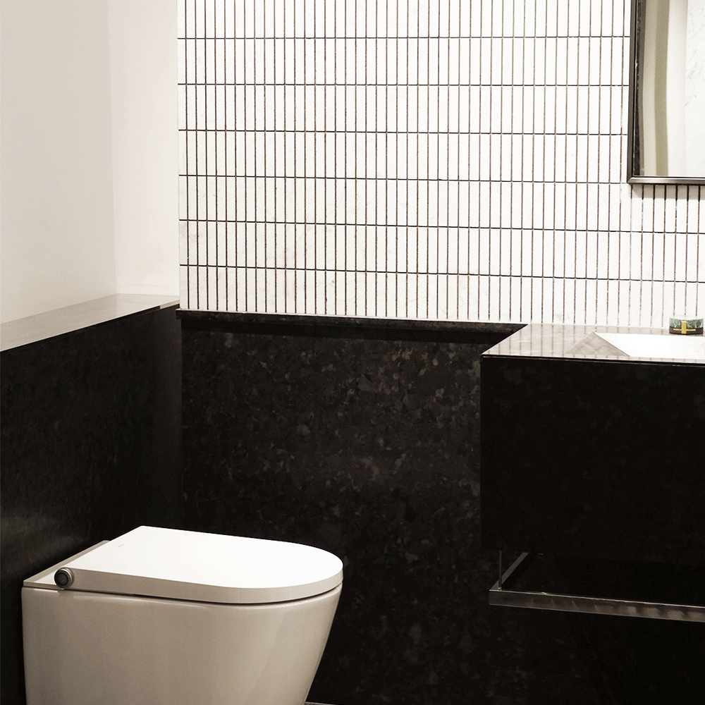 GALLARIA ALTA COMFORT RIMLESS WALL FACE PAN AND REMOTE BIDET PACKAGE GLOSS WHITE